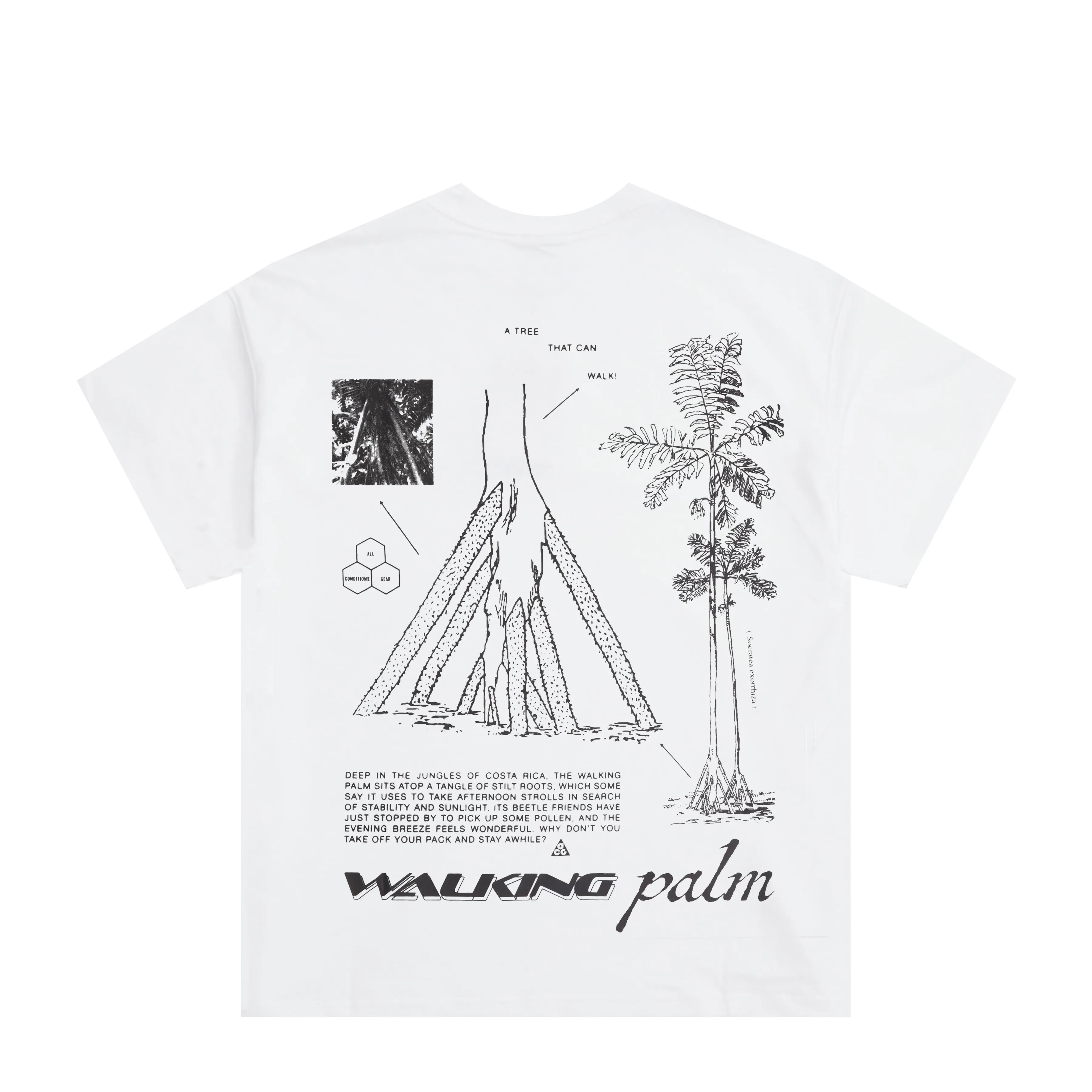 ACG WALKING TREE DRI-FIT T-SHIRT