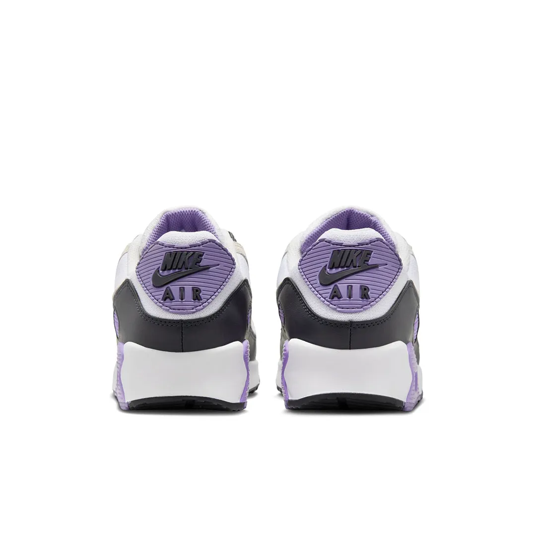 AIR MAX 90 DUSTY AMETHYST