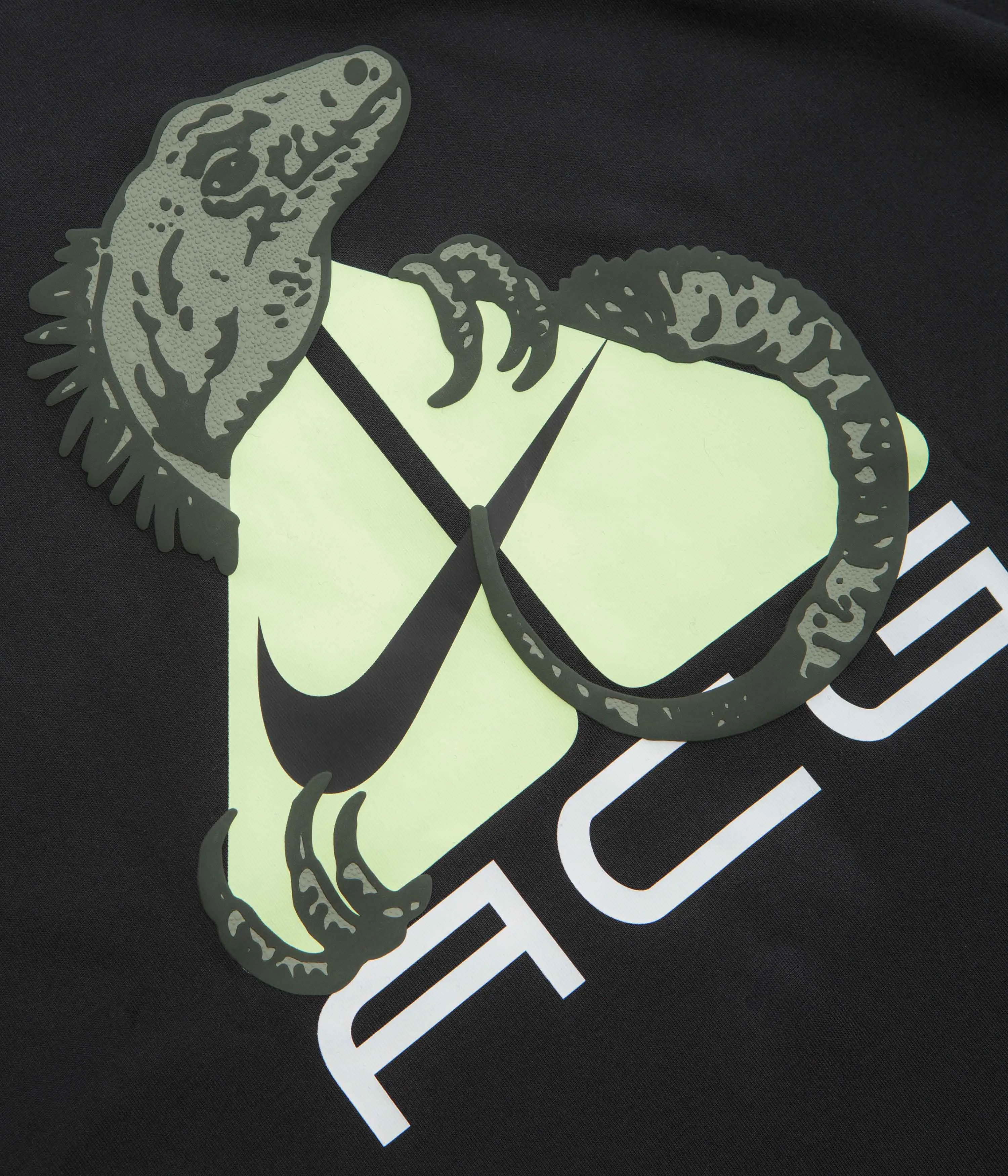 Nike ACG Iguana T-Shirt - Black