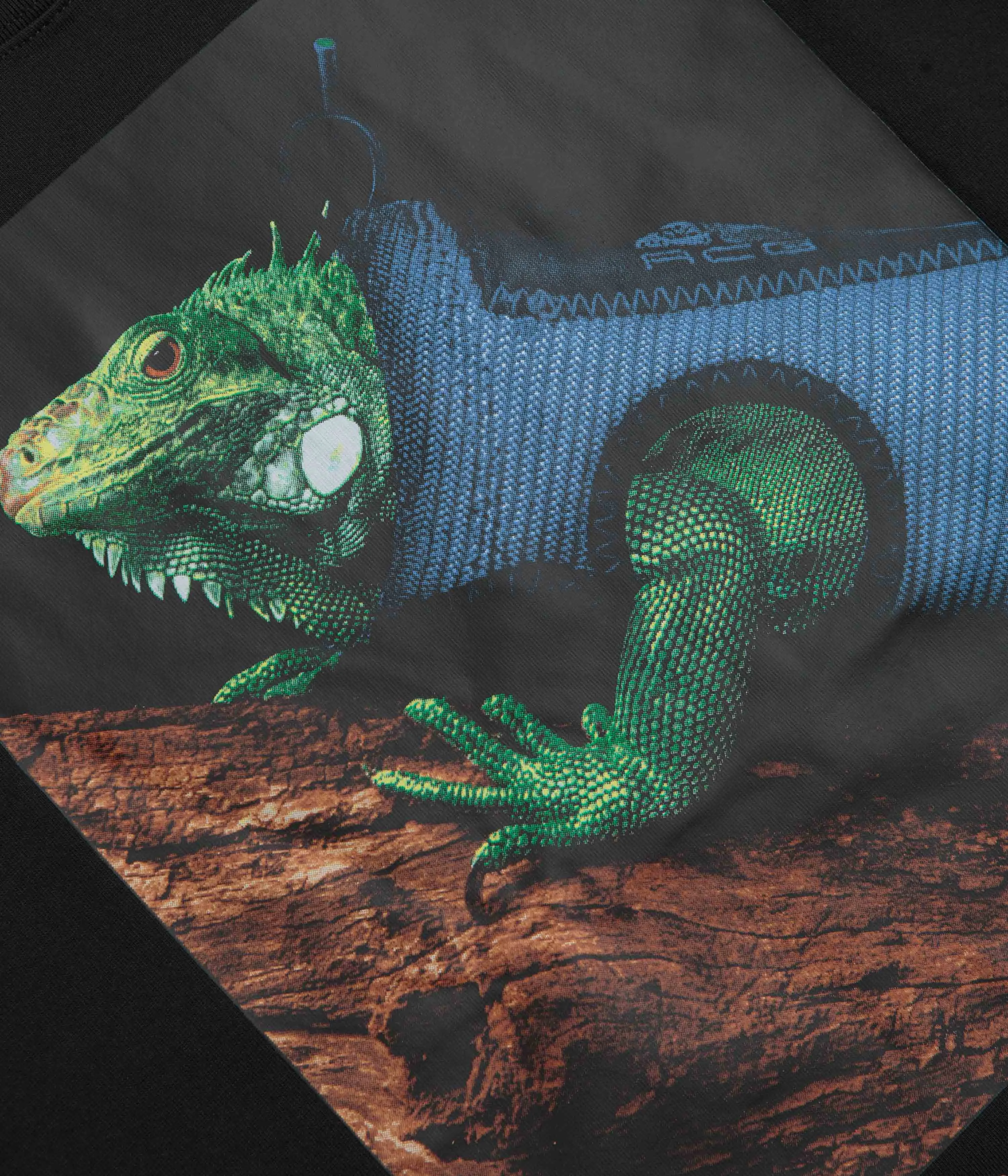 Nike ACG Iguana Vest T-Shirt - Black