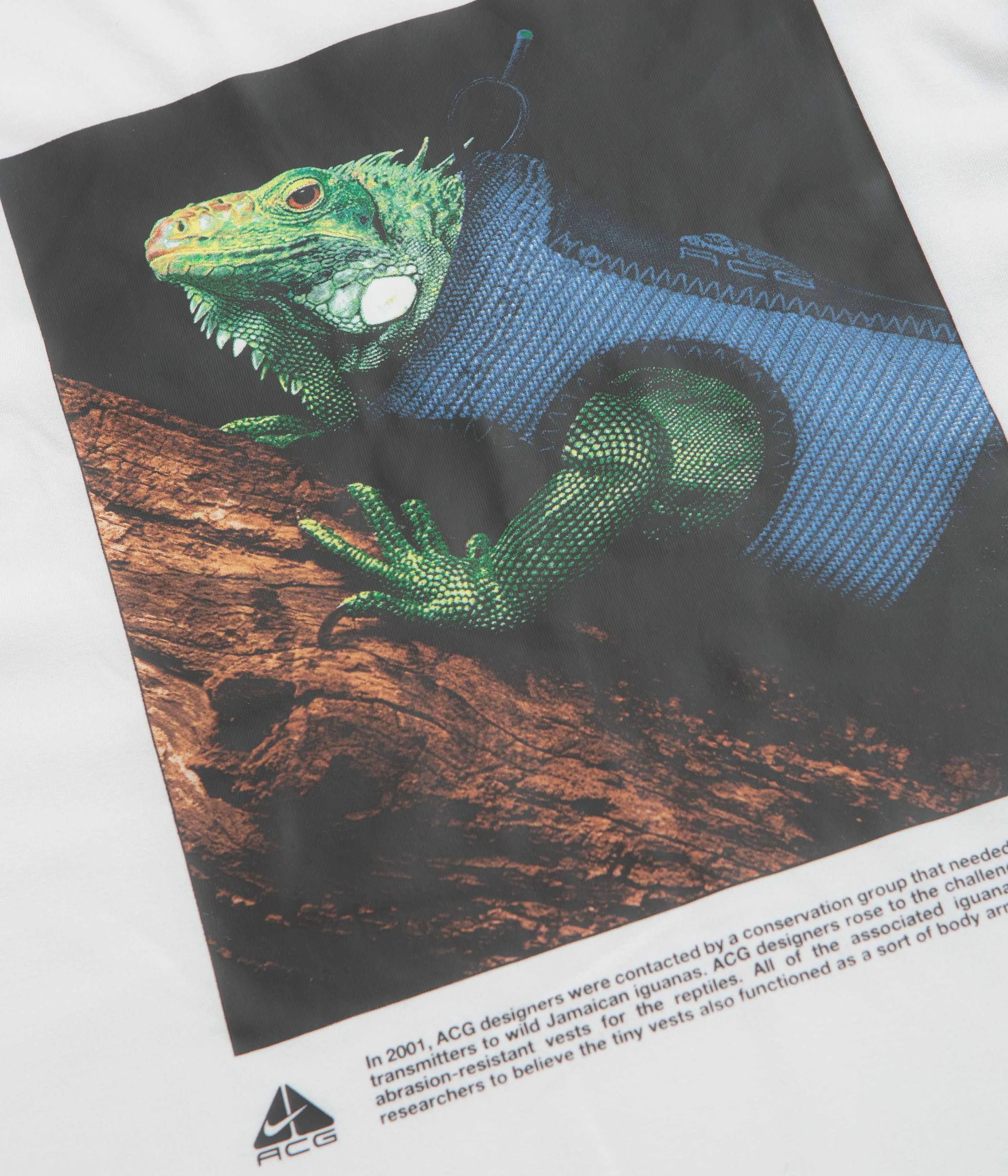 Nike ACG Iguana Vest T-Shirt - Summit White