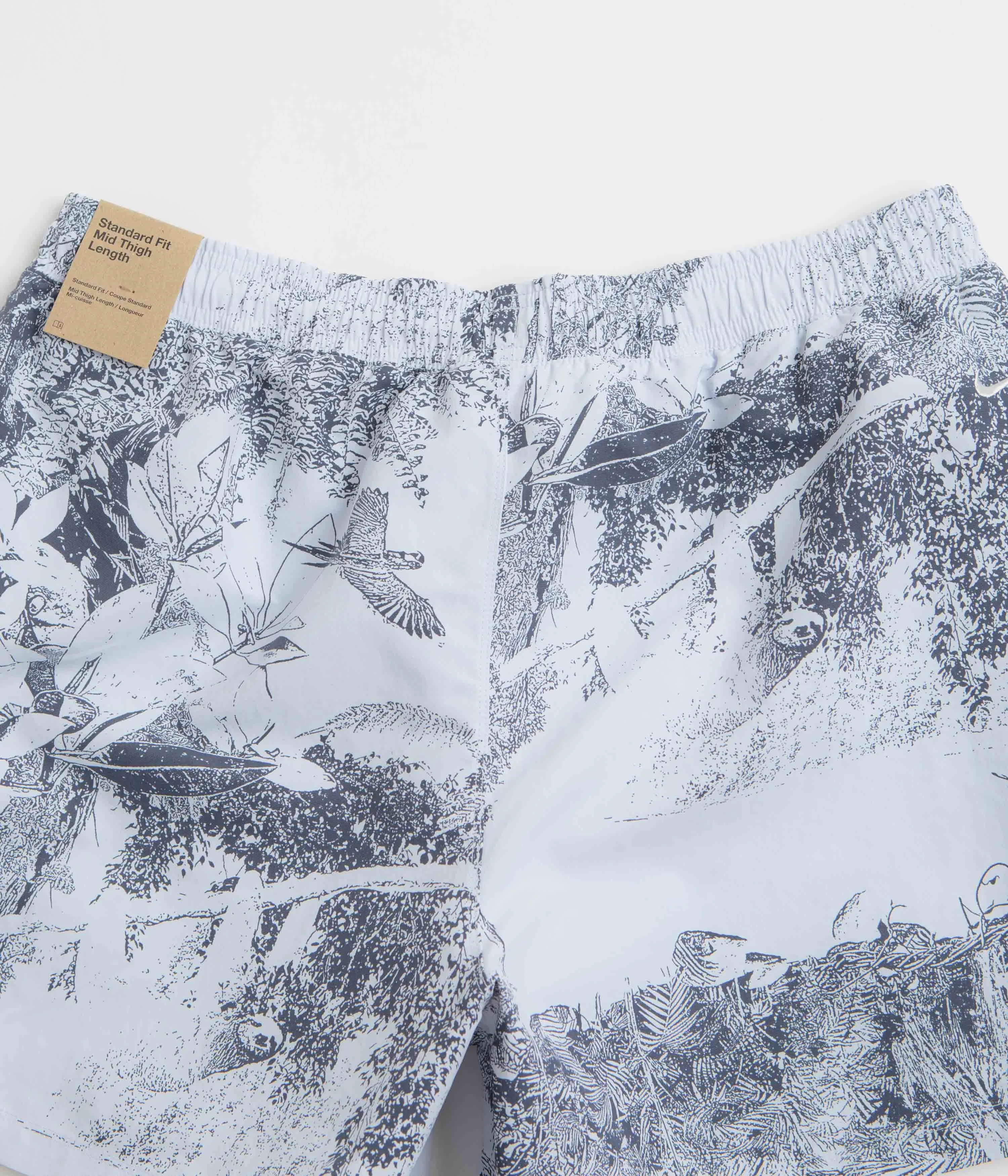 Nike ACG Reservoir Goat Shorts - Football Grey / Thunder Blue / Summit White