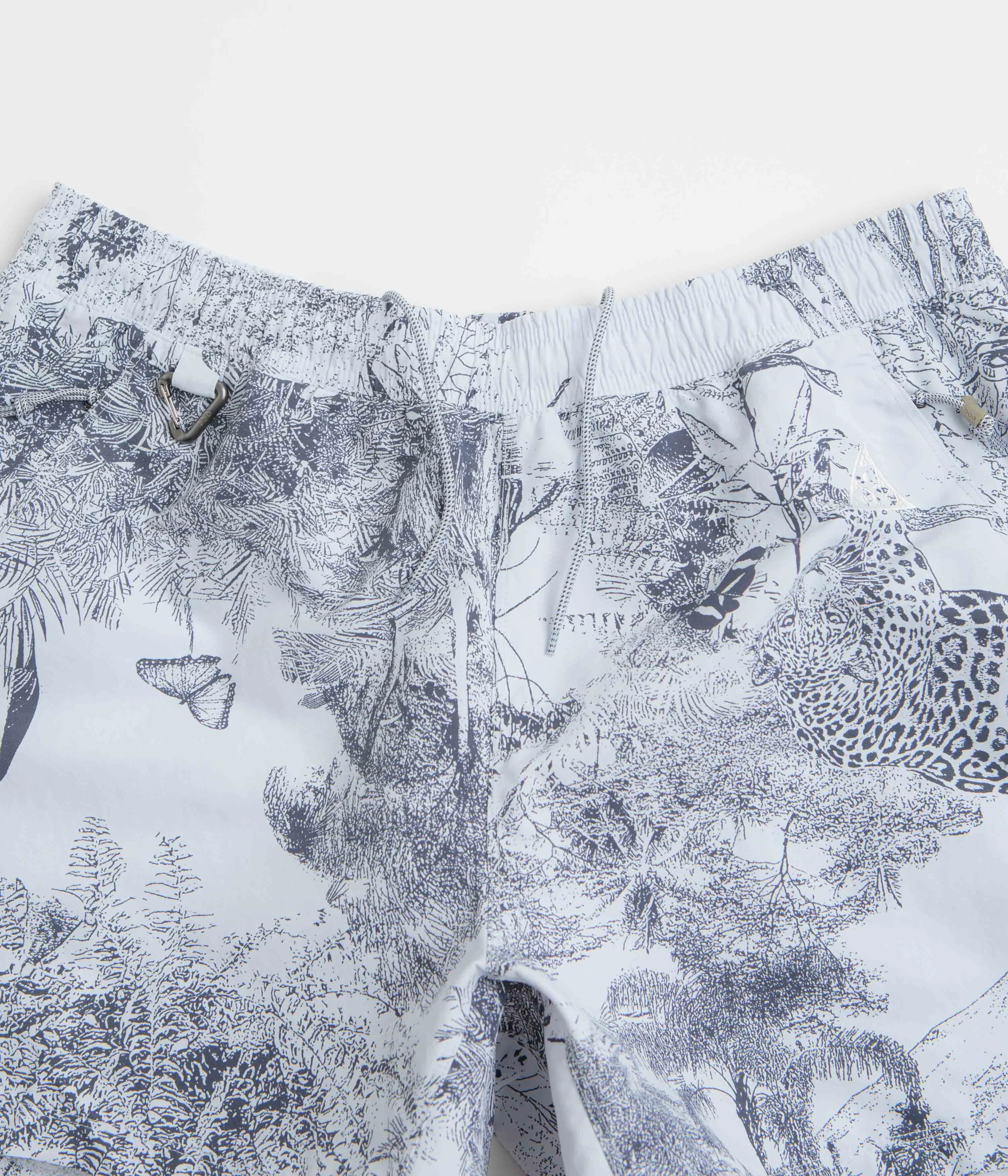 Nike ACG Reservoir Goat Shorts - Football Grey / Thunder Blue / Summit White