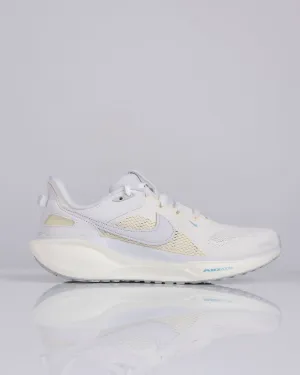 Nike Air Zoom Pegasus 41 SP Ivory Vast Grey-Coconut Milk HQ6025 100