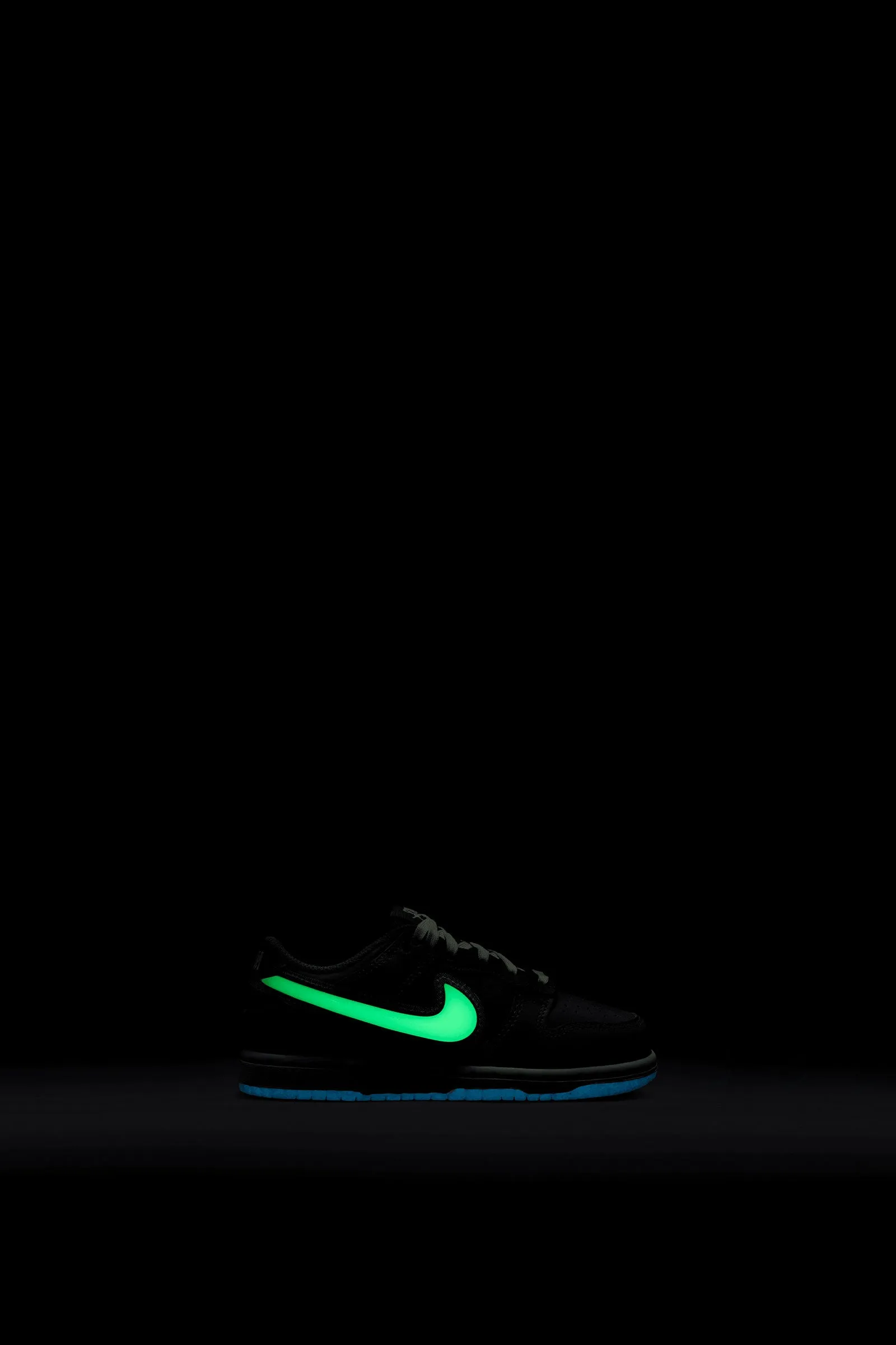 Nike Dunk Low (PS)