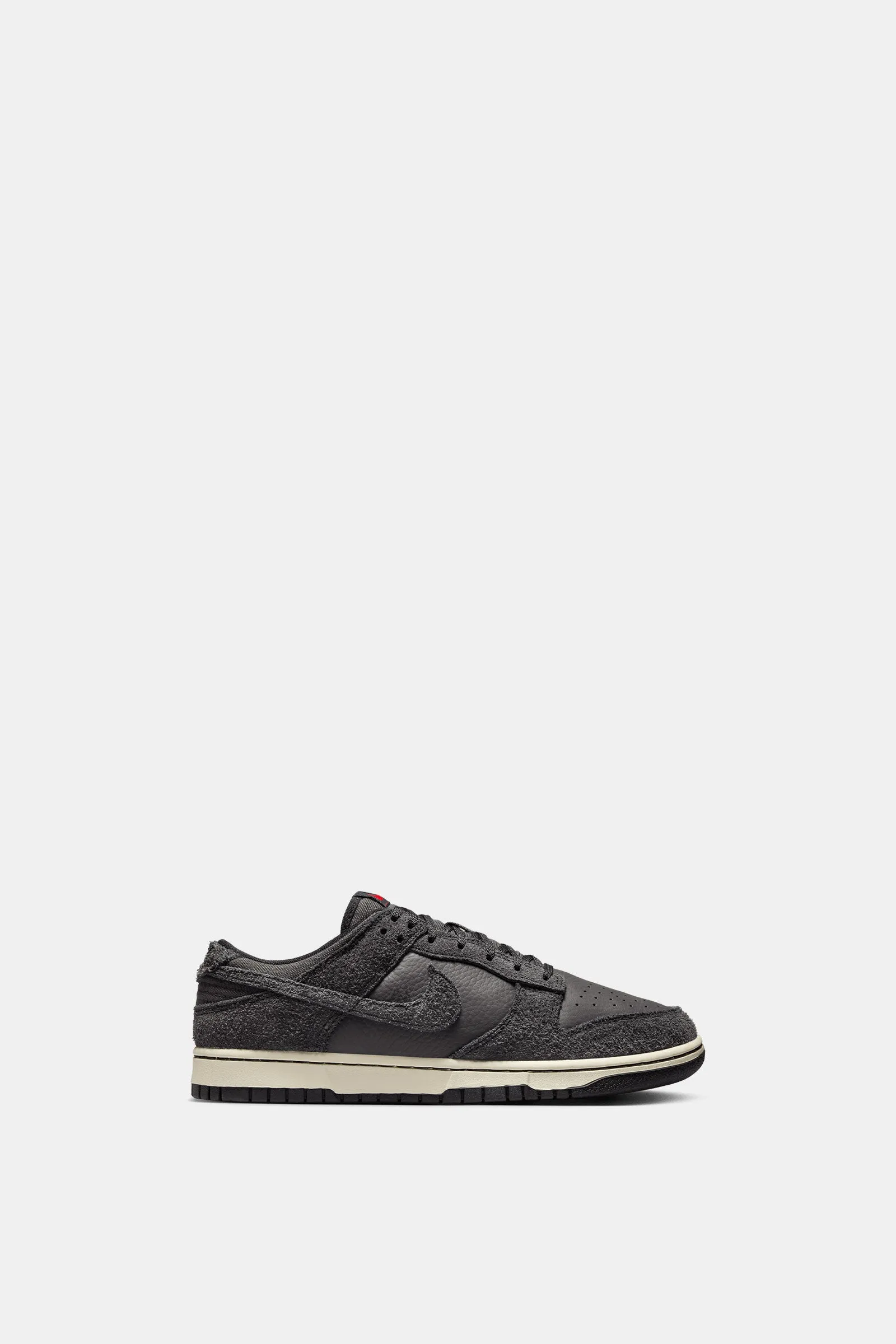 Nike Dunk Low Retro Prm
