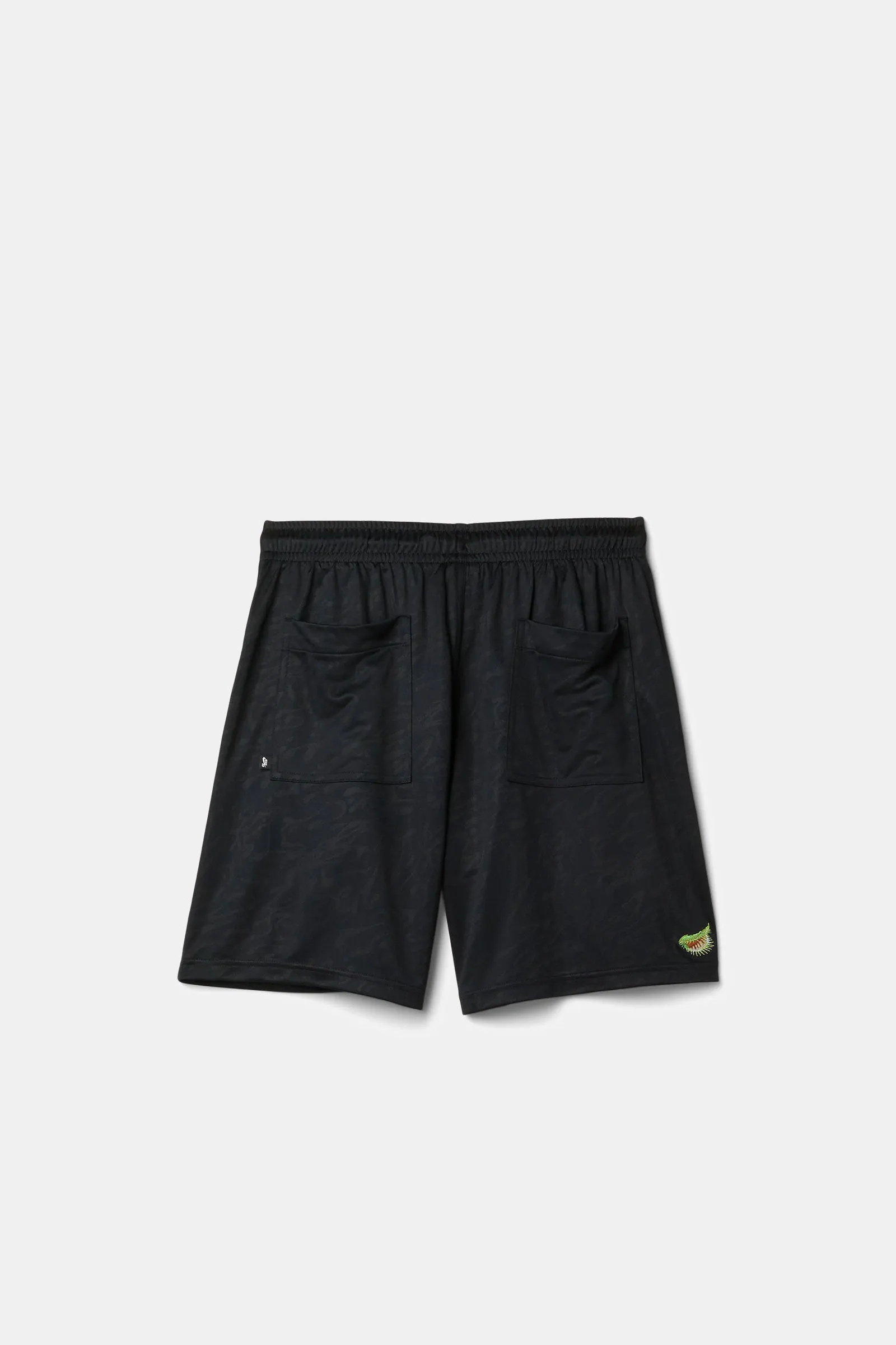 Nike SB Dri-FIT Skate Short