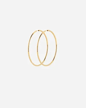 Senorita 50 Hoop Gold