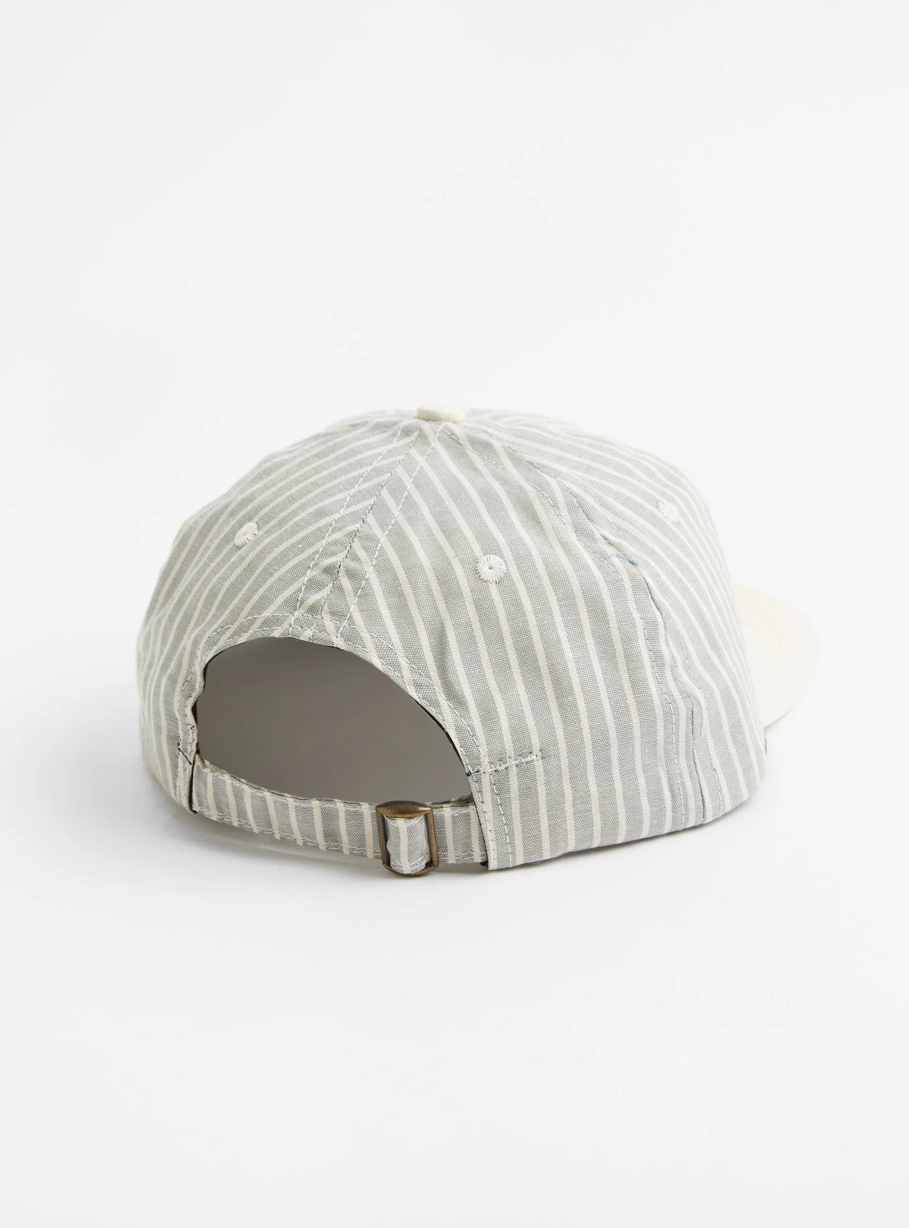 Two Tone 6 Panel Sage Stripe